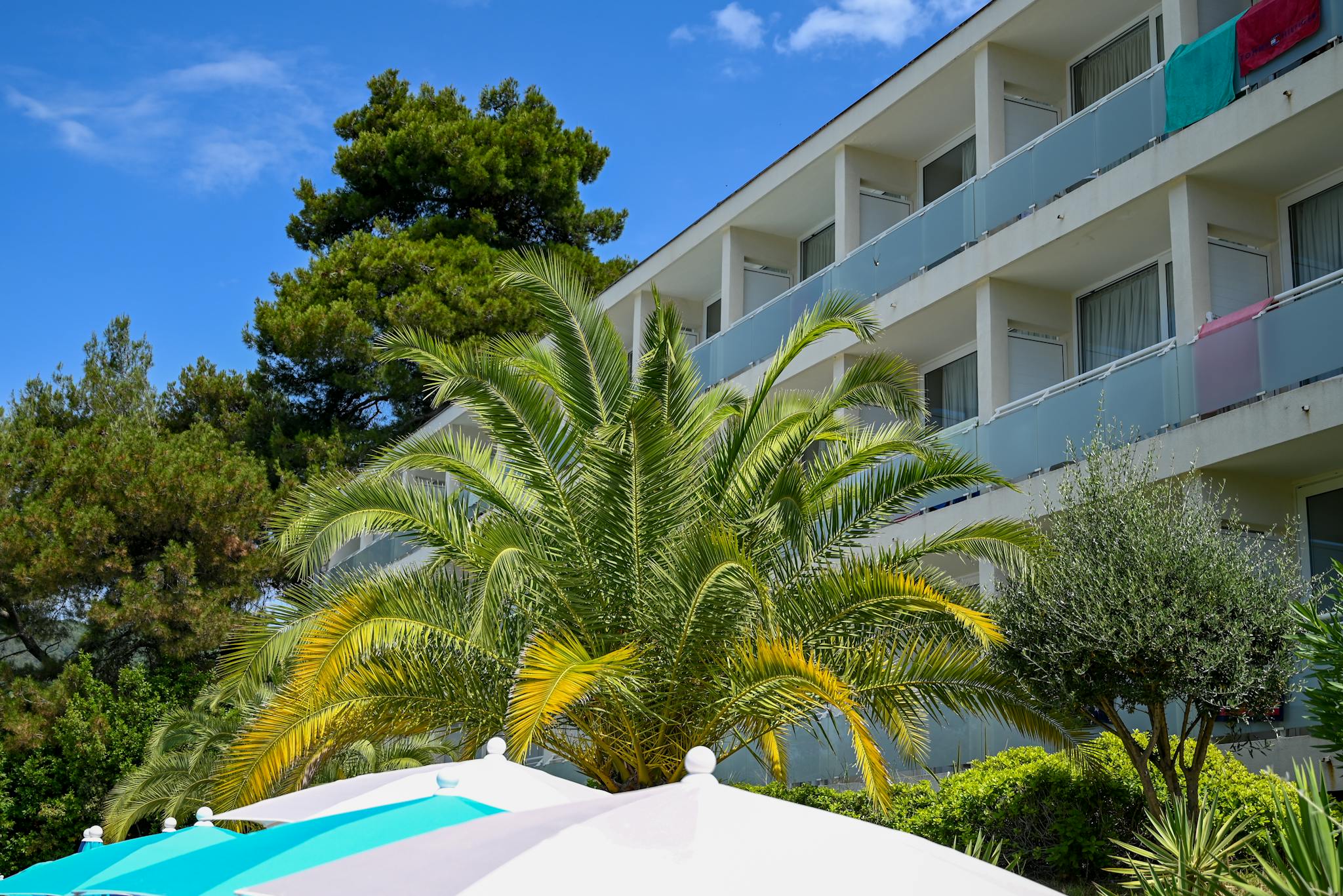 Beautiful resort building surrounded by lush palm trees in Rabac, Croatia.
