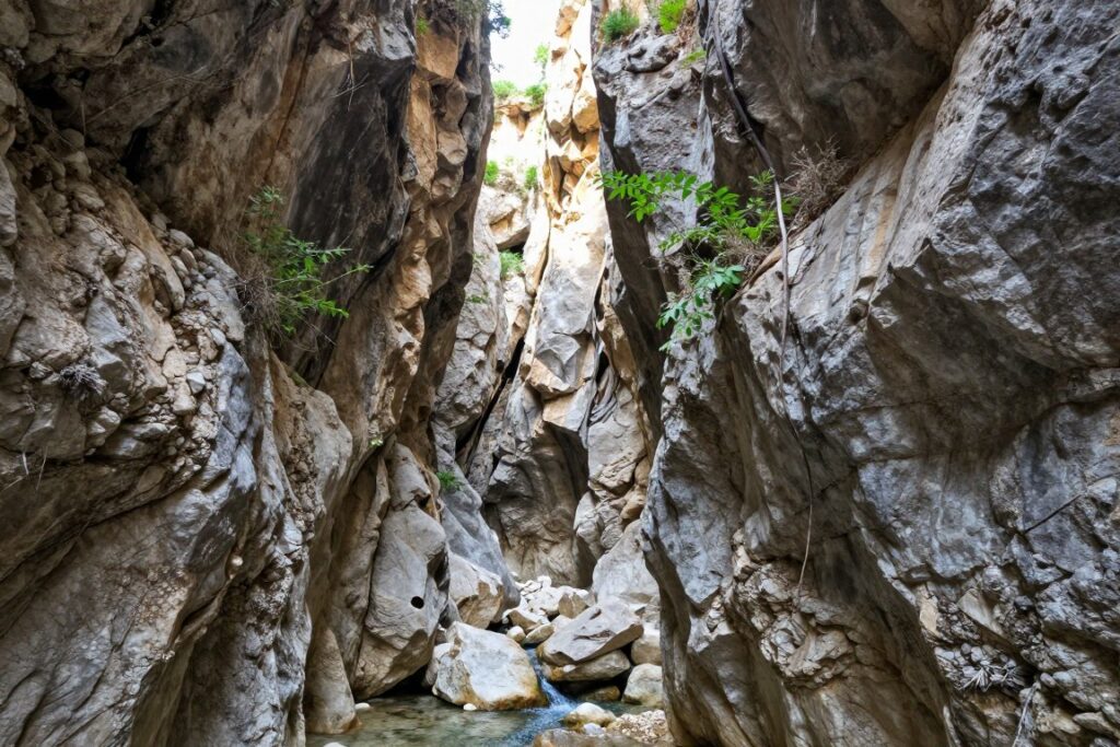 Avakas-Schlucht auf Zypern mit hohen Felswänden und Vegetation